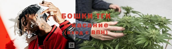 ПСИЛОЦИБИНОВЫЕ ГРИБЫ Лиски