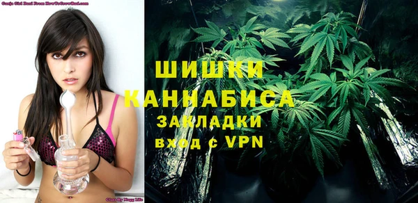 ПСИЛОЦИБИНОВЫЕ ГРИБЫ Лиски