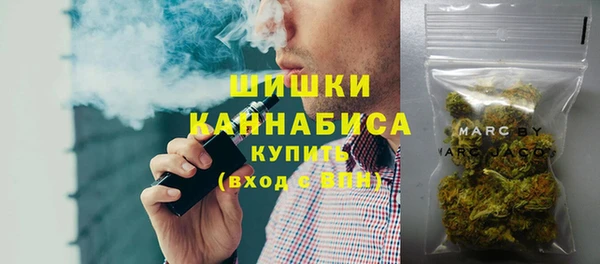 ПСИЛОЦИБИНОВЫЕ ГРИБЫ Лиски