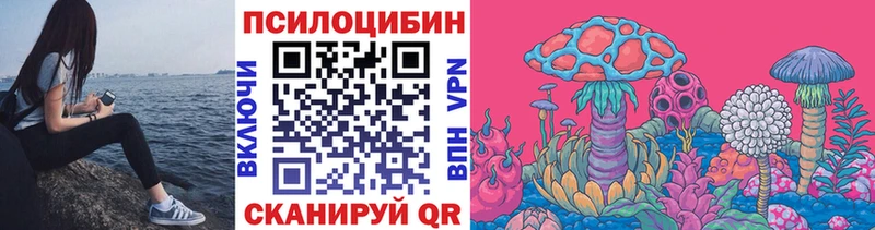 Псилоцибиновые грибы Psilocybine cubensis где купить Назрань