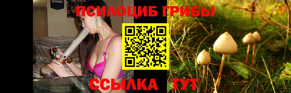 Назрань  Галлюциногенные грибы мицелий  Галлюциногенные грибы MAGIC MUSHROOMS  Вход с VPN 